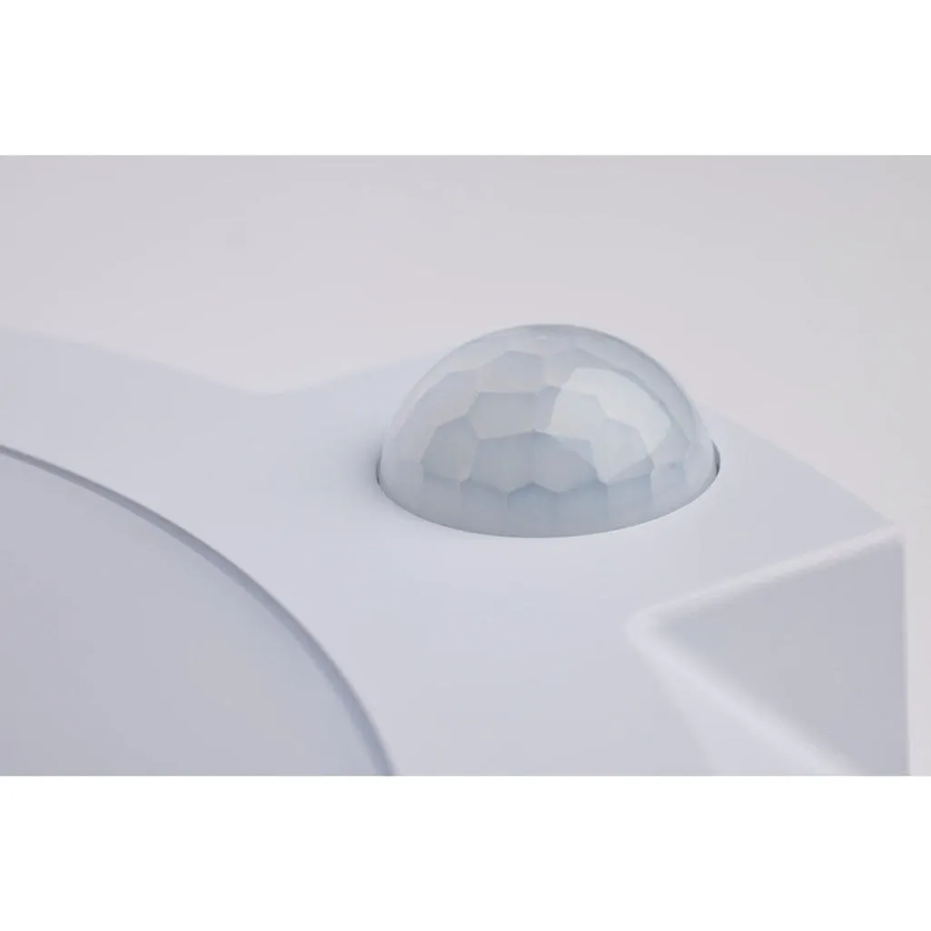 10" LED DISK LIGHT W/ SENSOR 19W