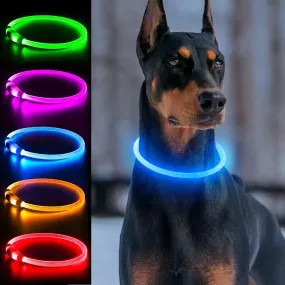3 Modes Light Up Dog Collars Rechargeable LED Dog Collar for Small to Large Dogs Pet Collar Loss Prevention Dog Collar