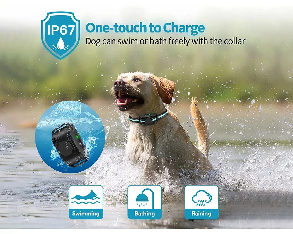 Anti Bark and Training Dog Collar