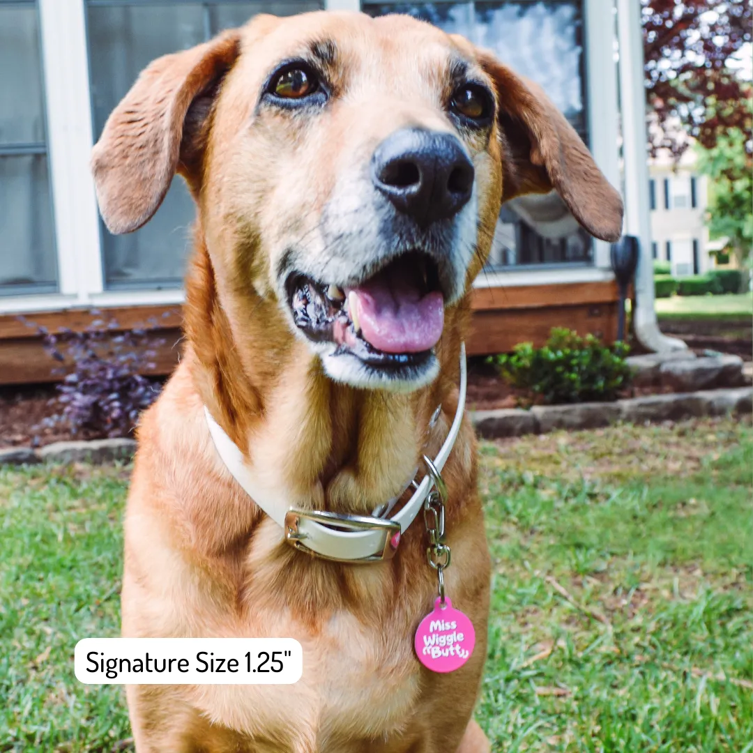 Aqui Mando Yo Spanish Funny Dog Tag