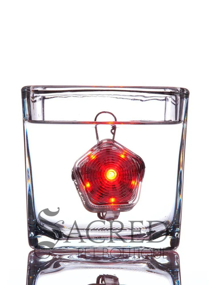Beacon Dog Safety Light