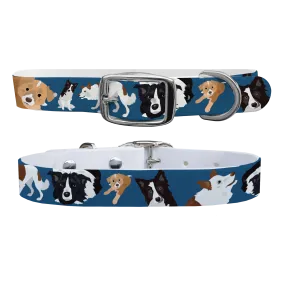 Border Collie Dog Collar With Silver Buckle