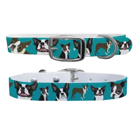Boston Terrier Dog Collar With Silver Buckle