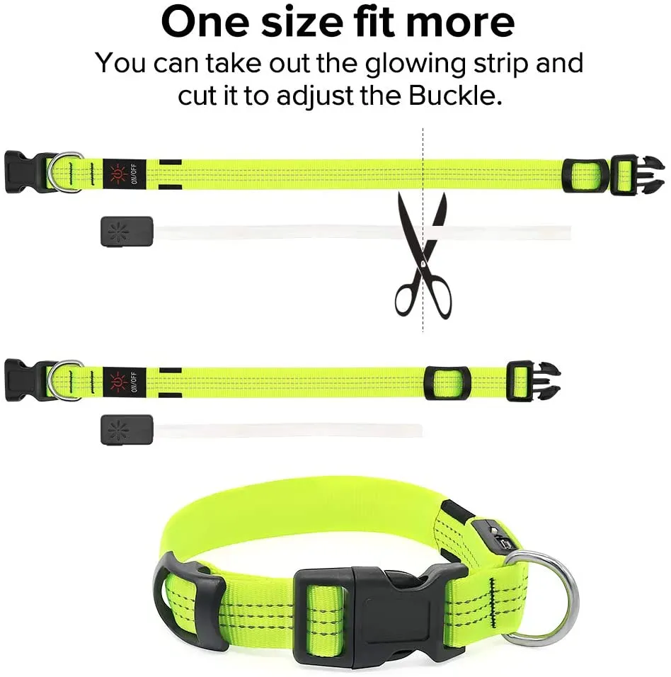 BSEEN Nylon Reflective LED Dog Collar