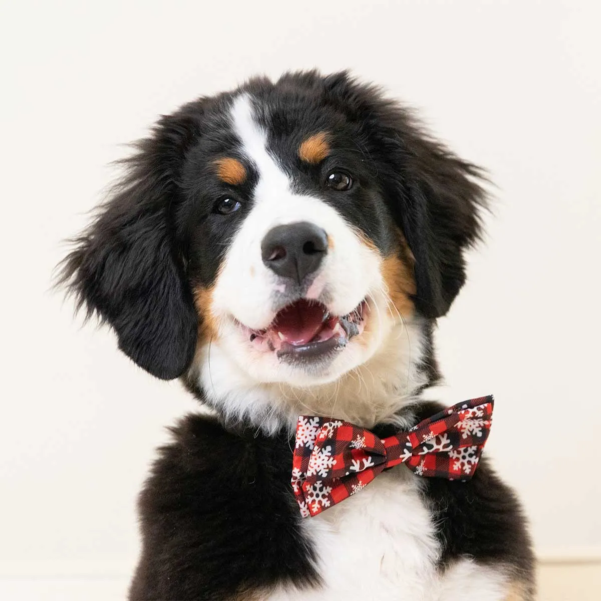 Buffalo & Snow Collar Bow Tie