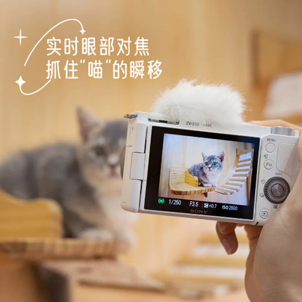 Camera Sony ZV-E10L APS-C (16-50mm)