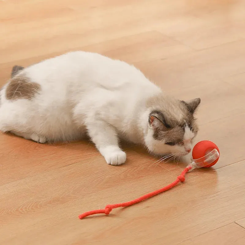 Cat Toy Ball Teasing Cat Rolling Ball Hair Pet Relieve Boredom Plush Teasing Cat Ball Cat Toys Pet Pet Toys Interactive Cat Toy