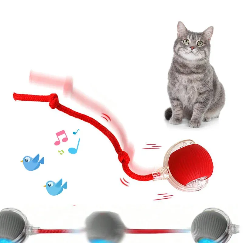 Cat Toy Ball Teasing Cat Rolling Ball Hair Pet Relieve Boredom Plush Teasing Cat Ball Cat Toys Pet Pet Toys Interactive Cat Toy
