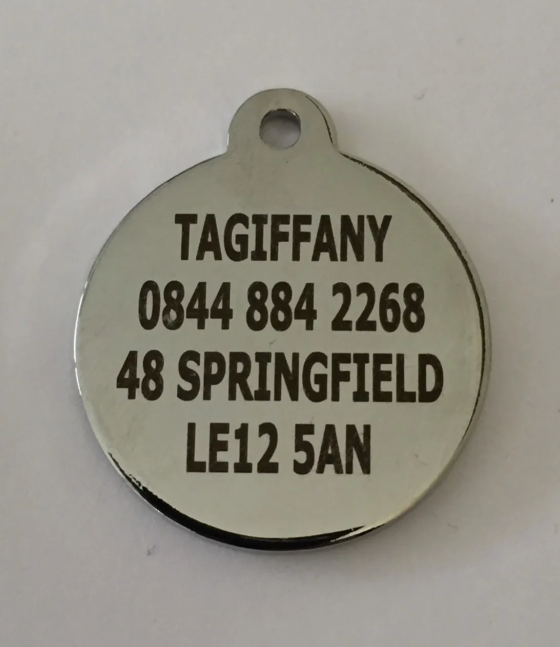 Chunky Chrome Hooped Designer Dog Tag