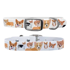 Corgi Dog Collar With Silver Buckle