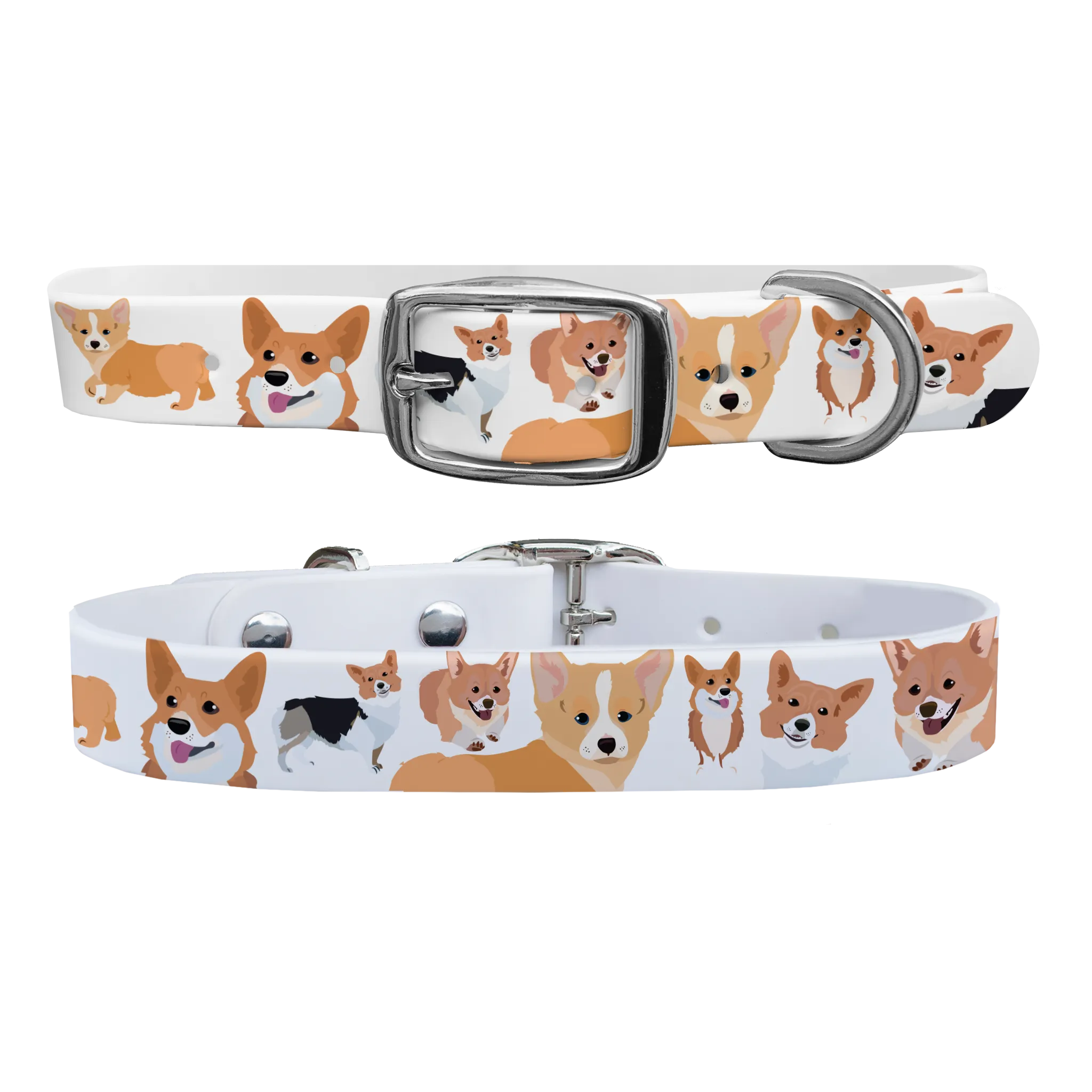 Corgi Dog Collar With Silver Buckle