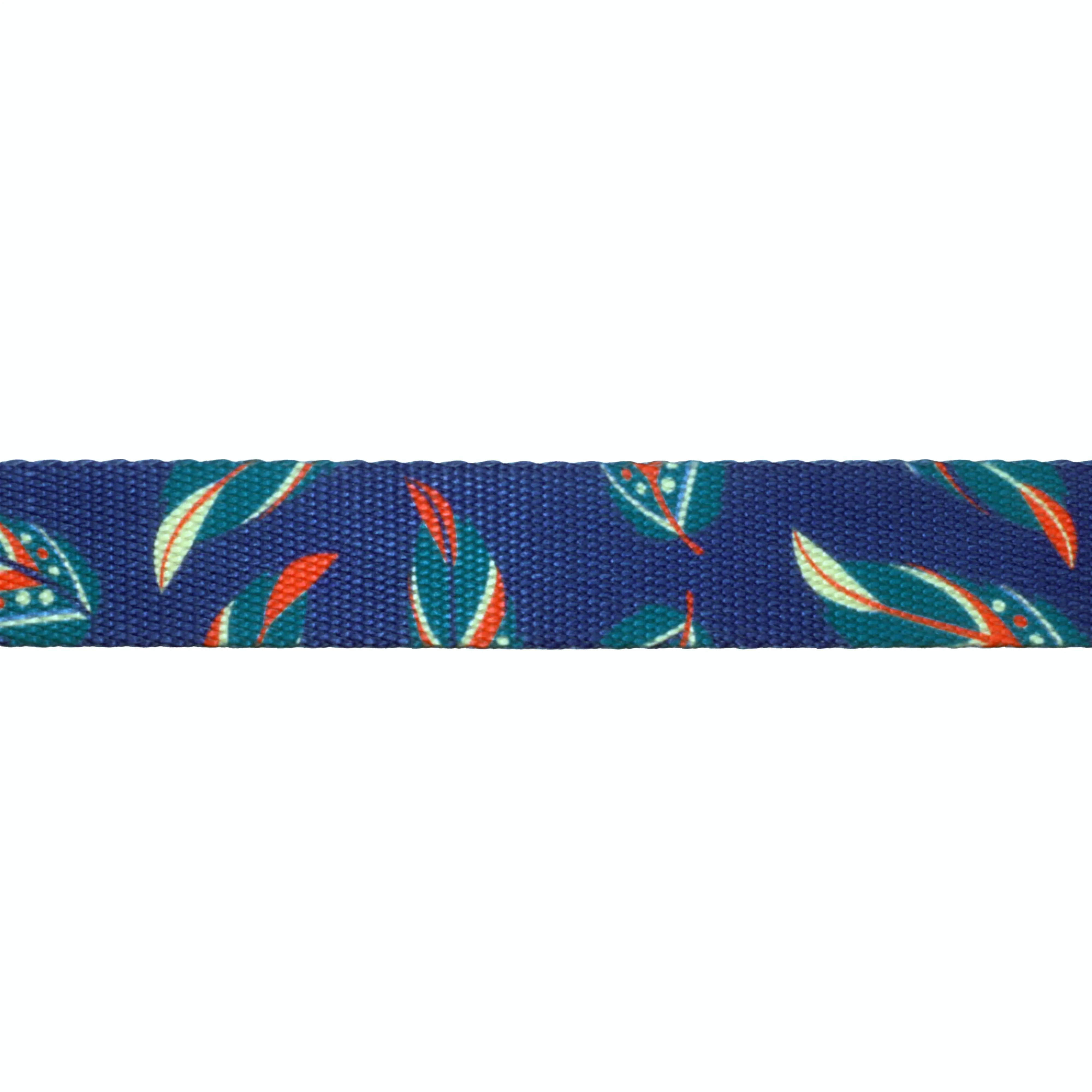 Custom Dog Collars  - Plumage