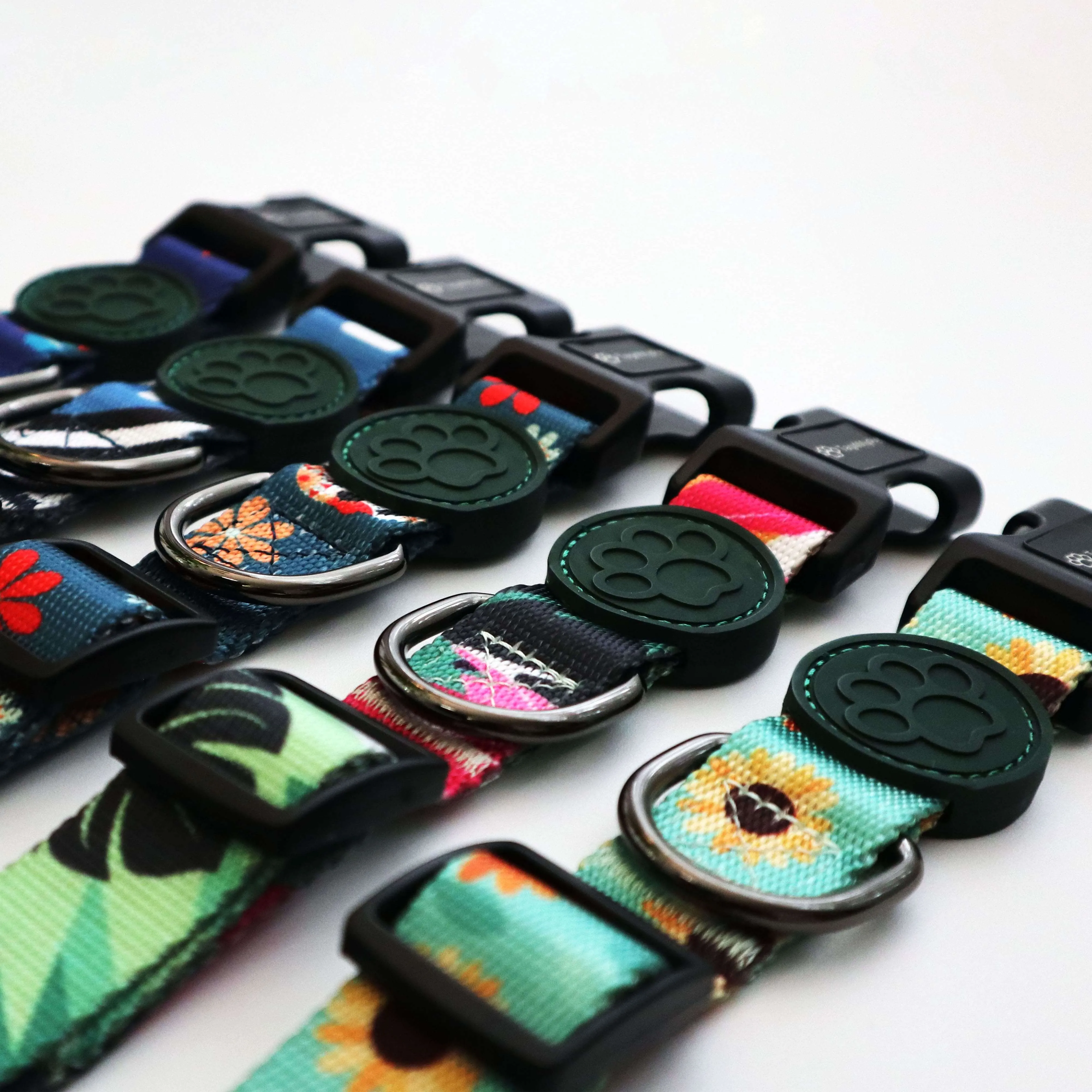 Custom Dog Collars  - Plumage
