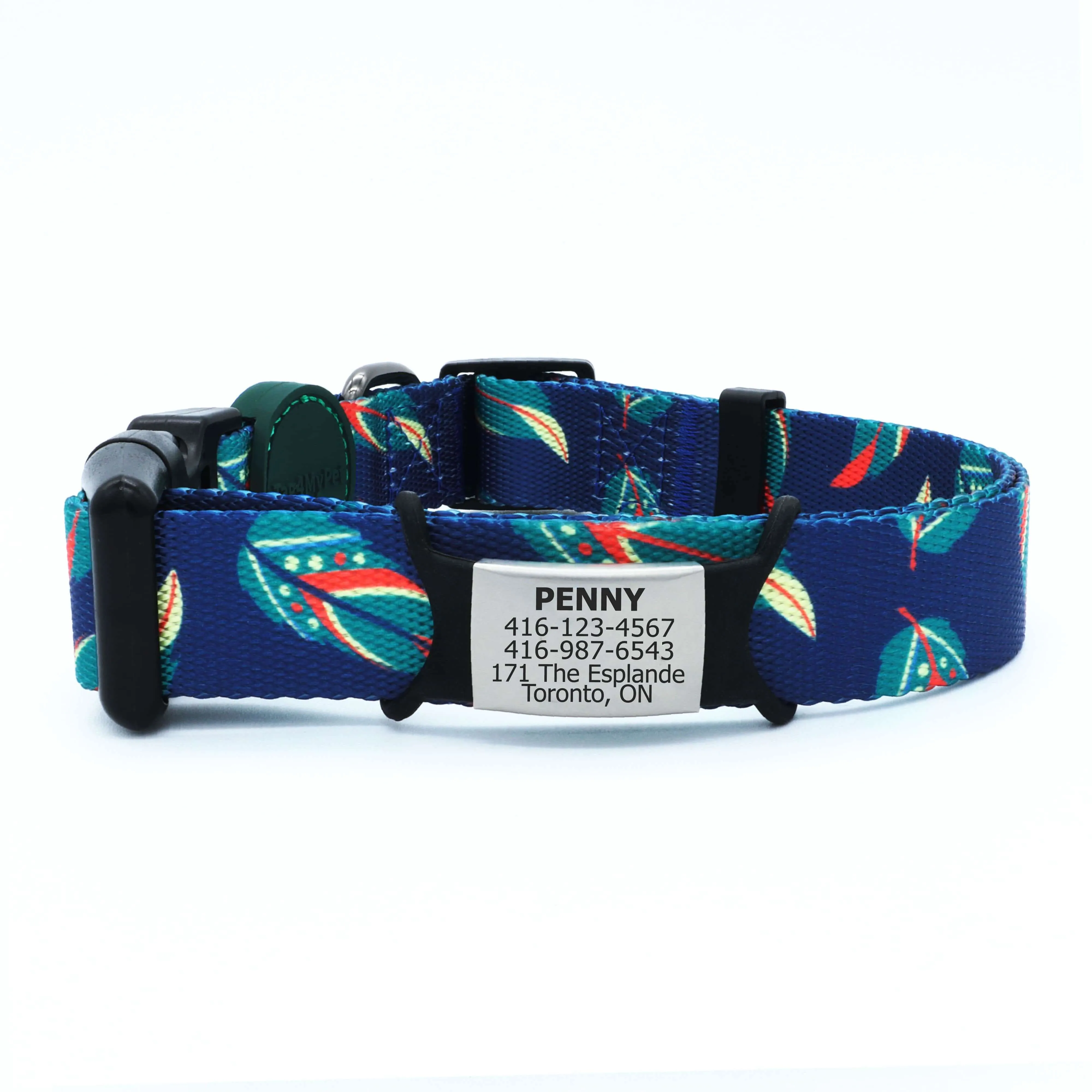Custom Dog Collars  - Plumage
