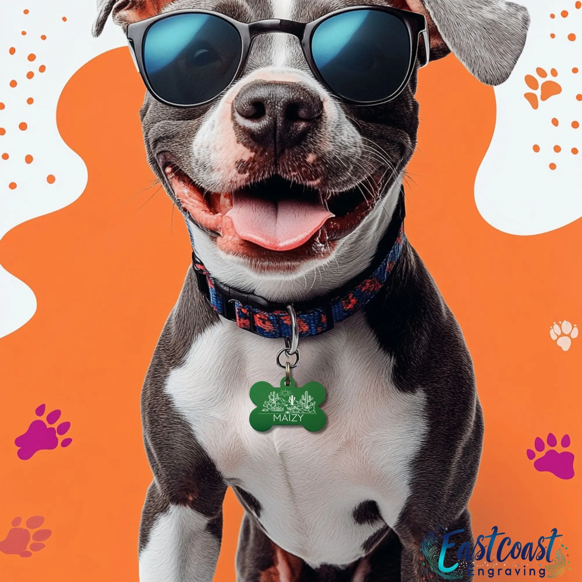Custom Pet Collar Tags | Desert Cactus Design | Engraved Dog ID Tags