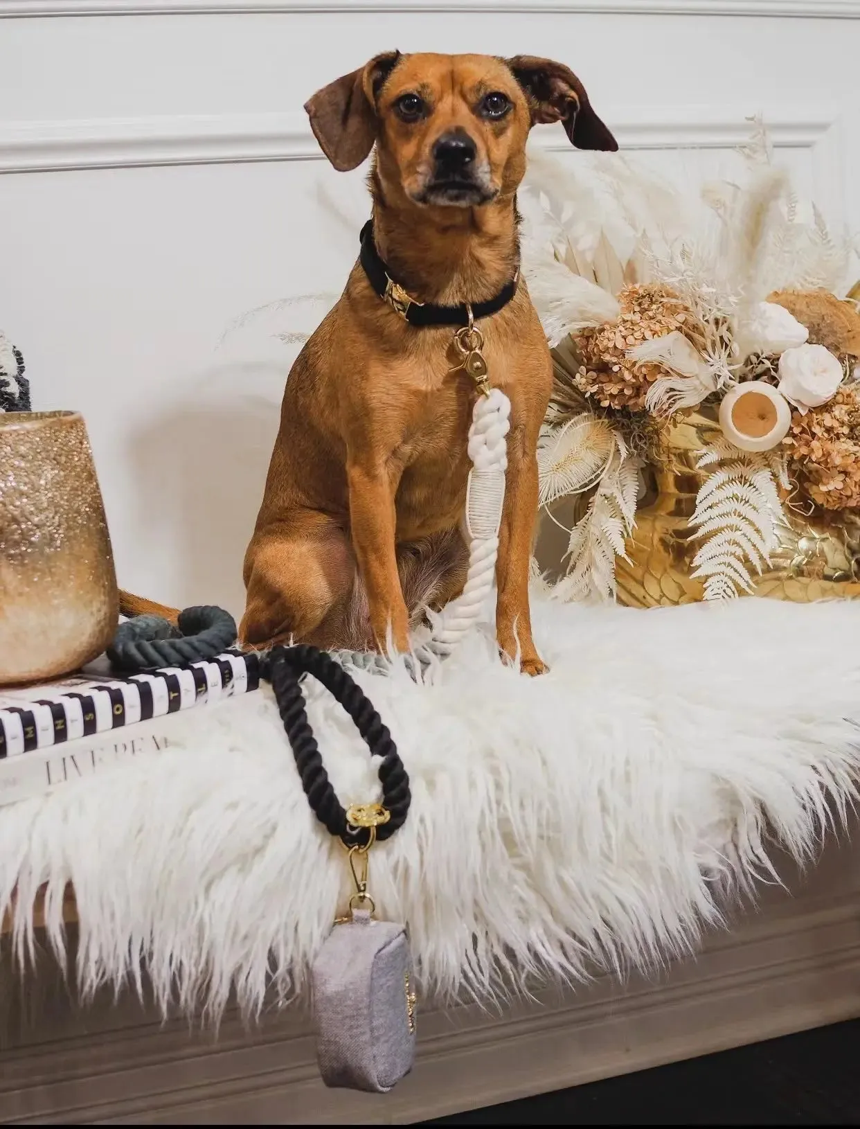 Dog Rope Leash - Ferrari Red, vibrant and stylish