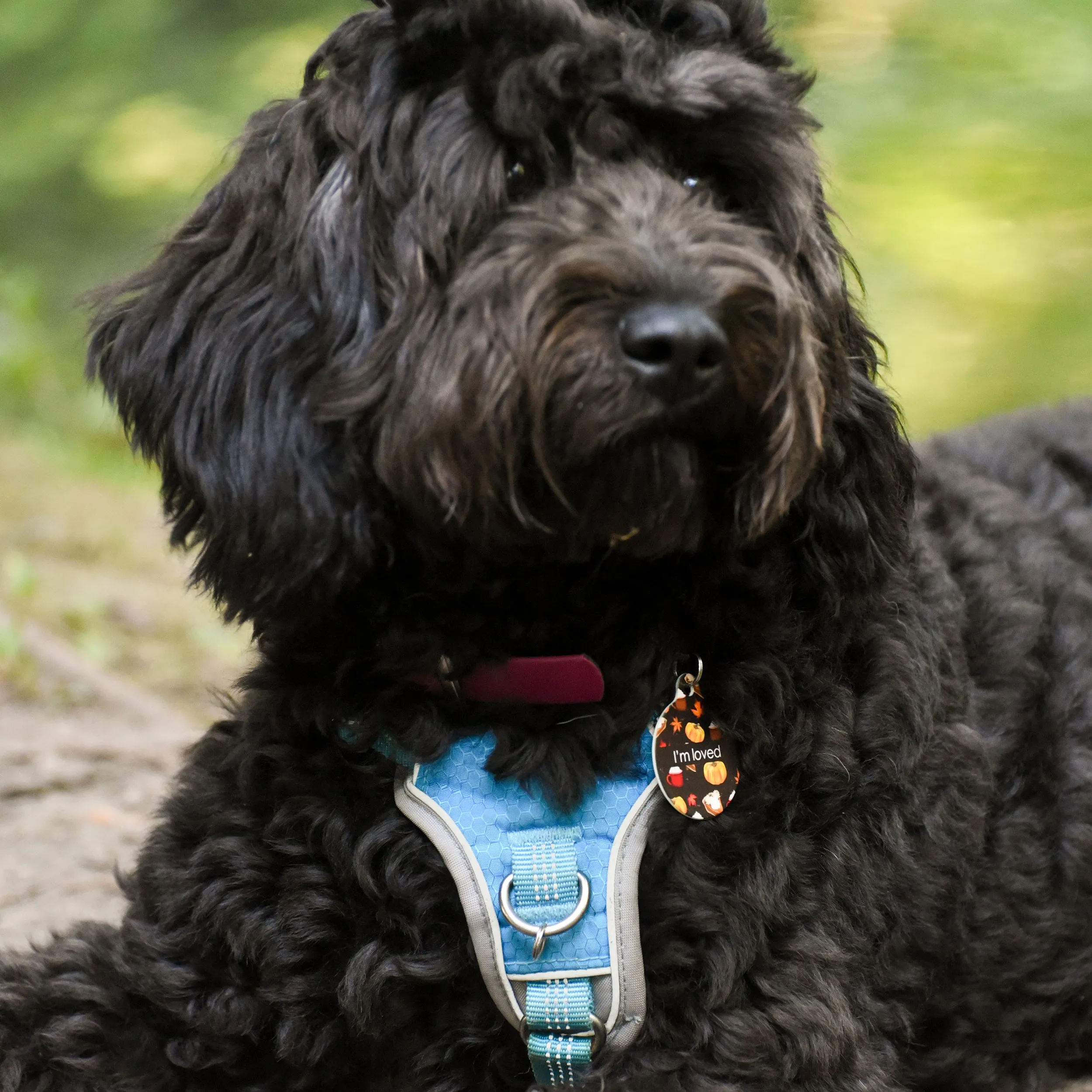 Dog Tag Personalised - Autumn Vibes Brown
