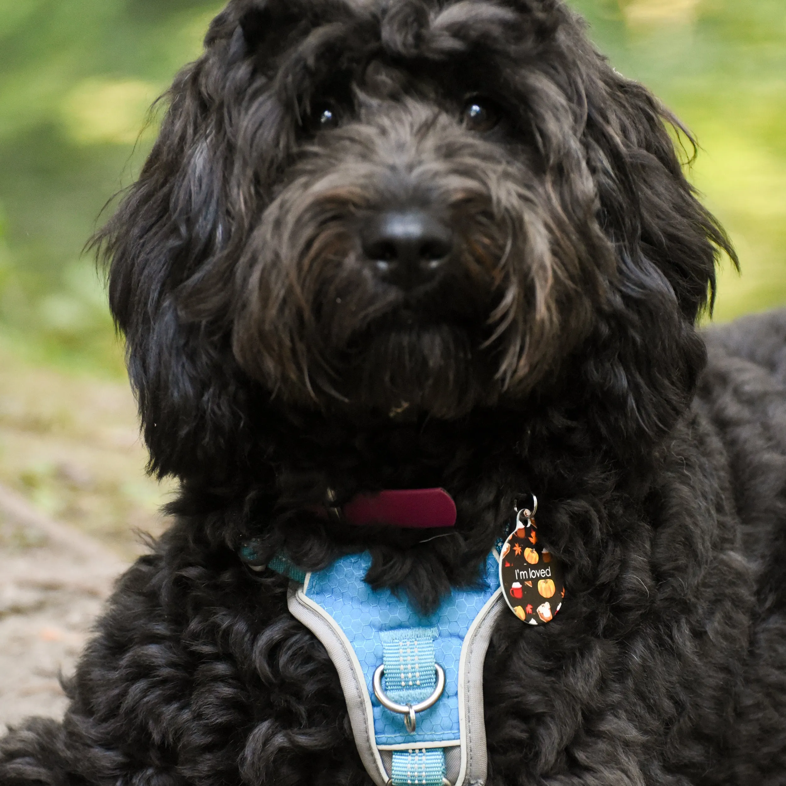 Dog Tag Personalised - Autumn Vibes Brown