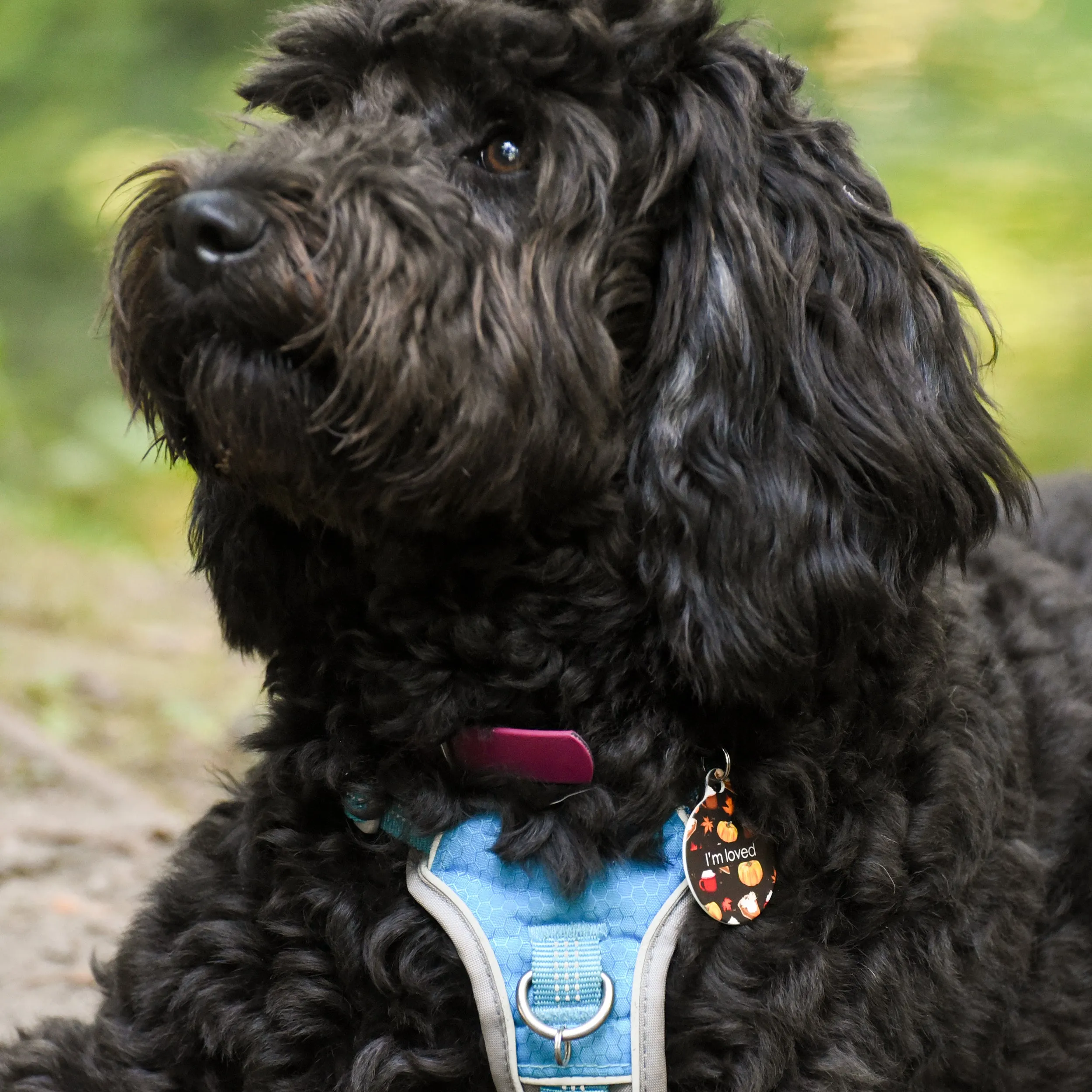 Dog Tag Personalised - Autumn Vibes Brown