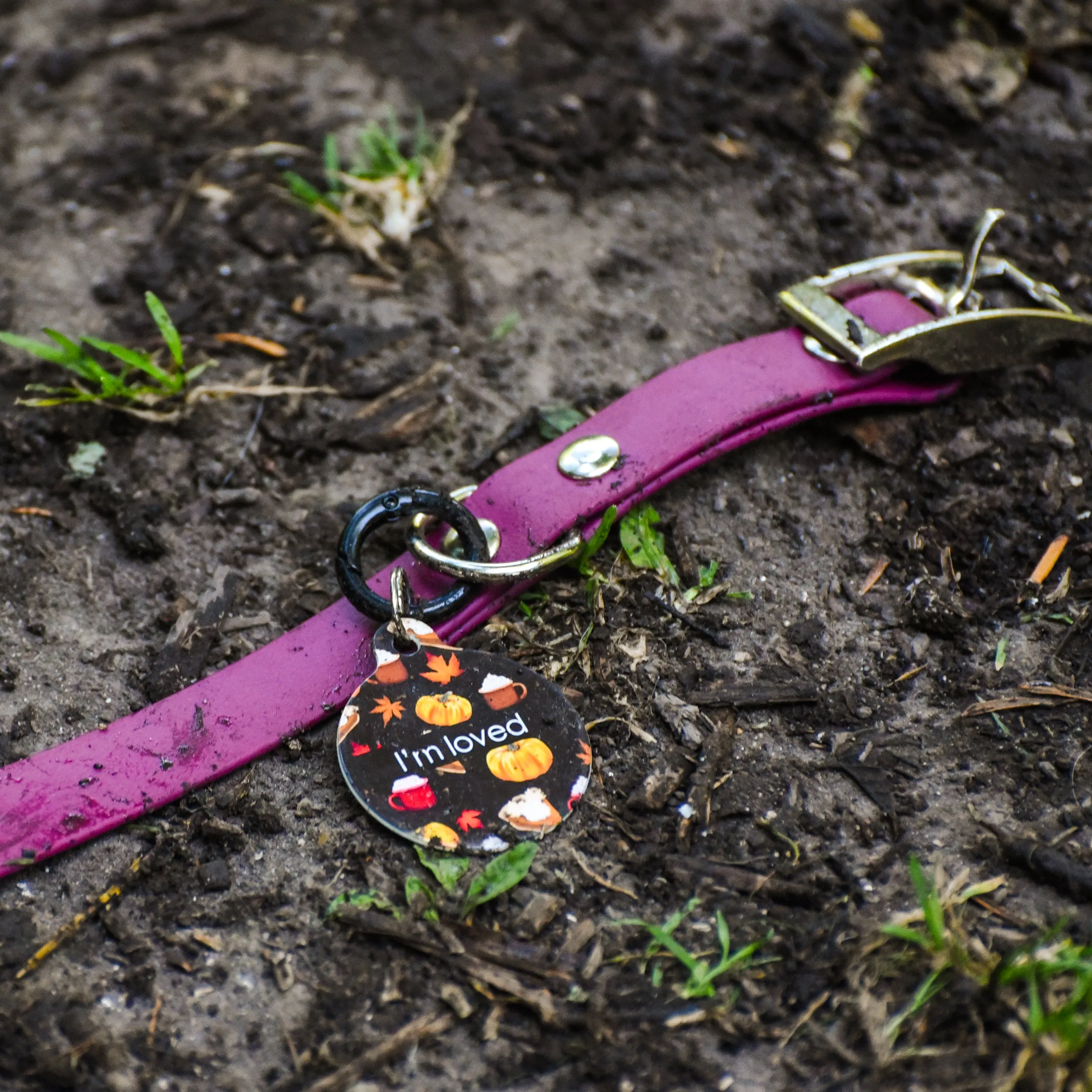 Dog Tag Personalised - Autumn Vibes Brown