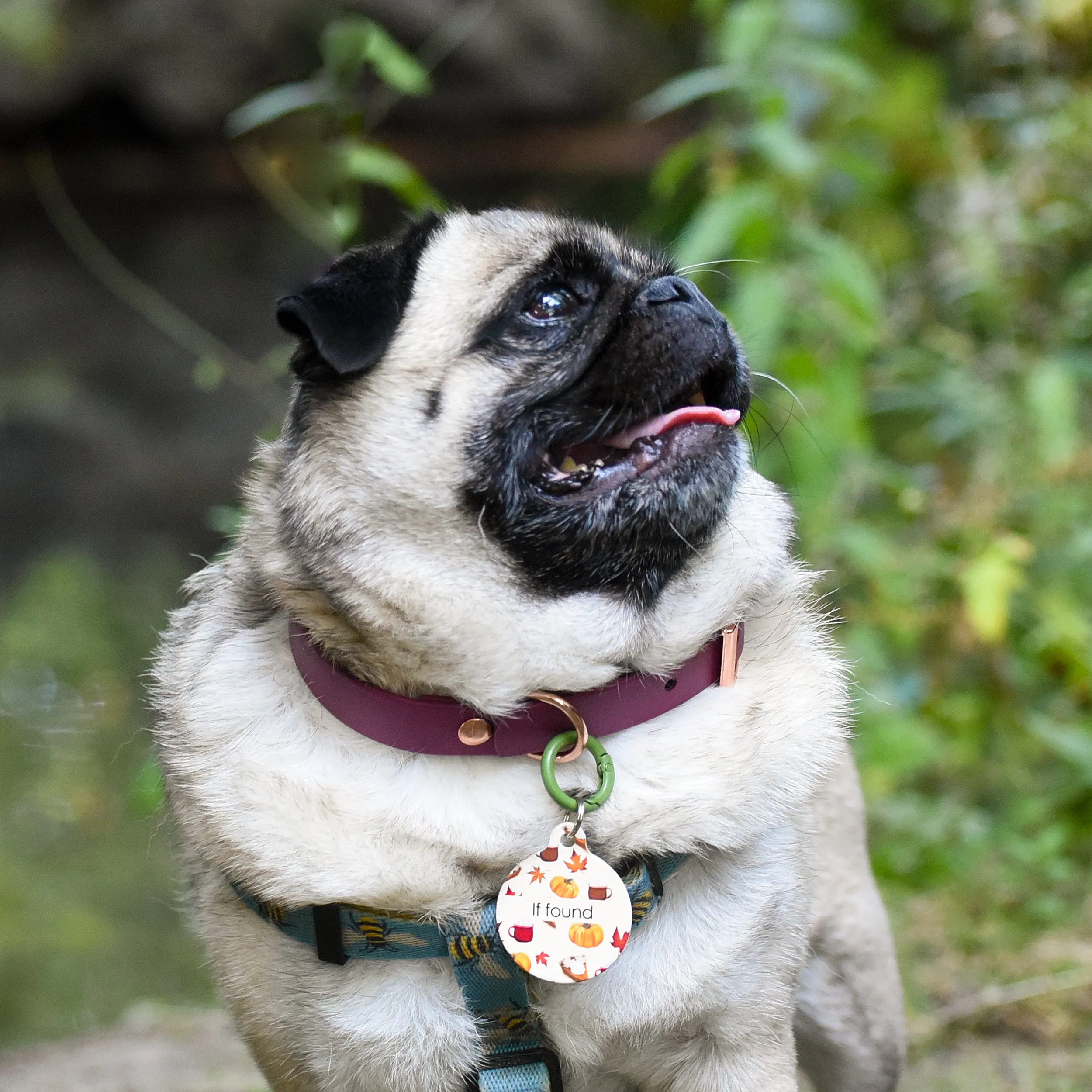 Dog Tag Personalised - Autumn Vibes Cream