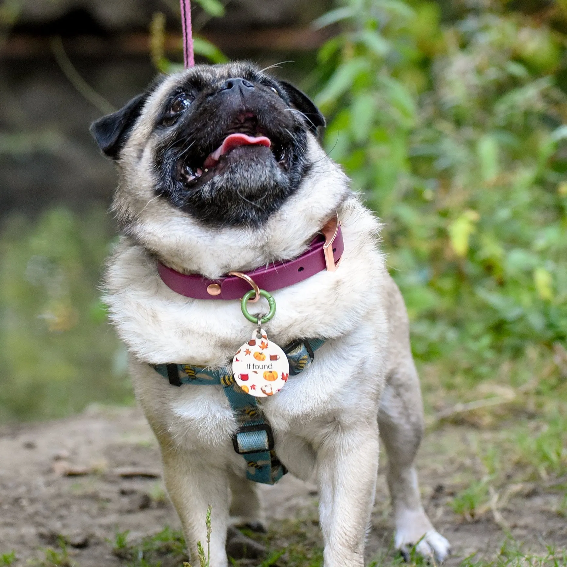 Dog Tag Personalised - Autumn Vibes Cream