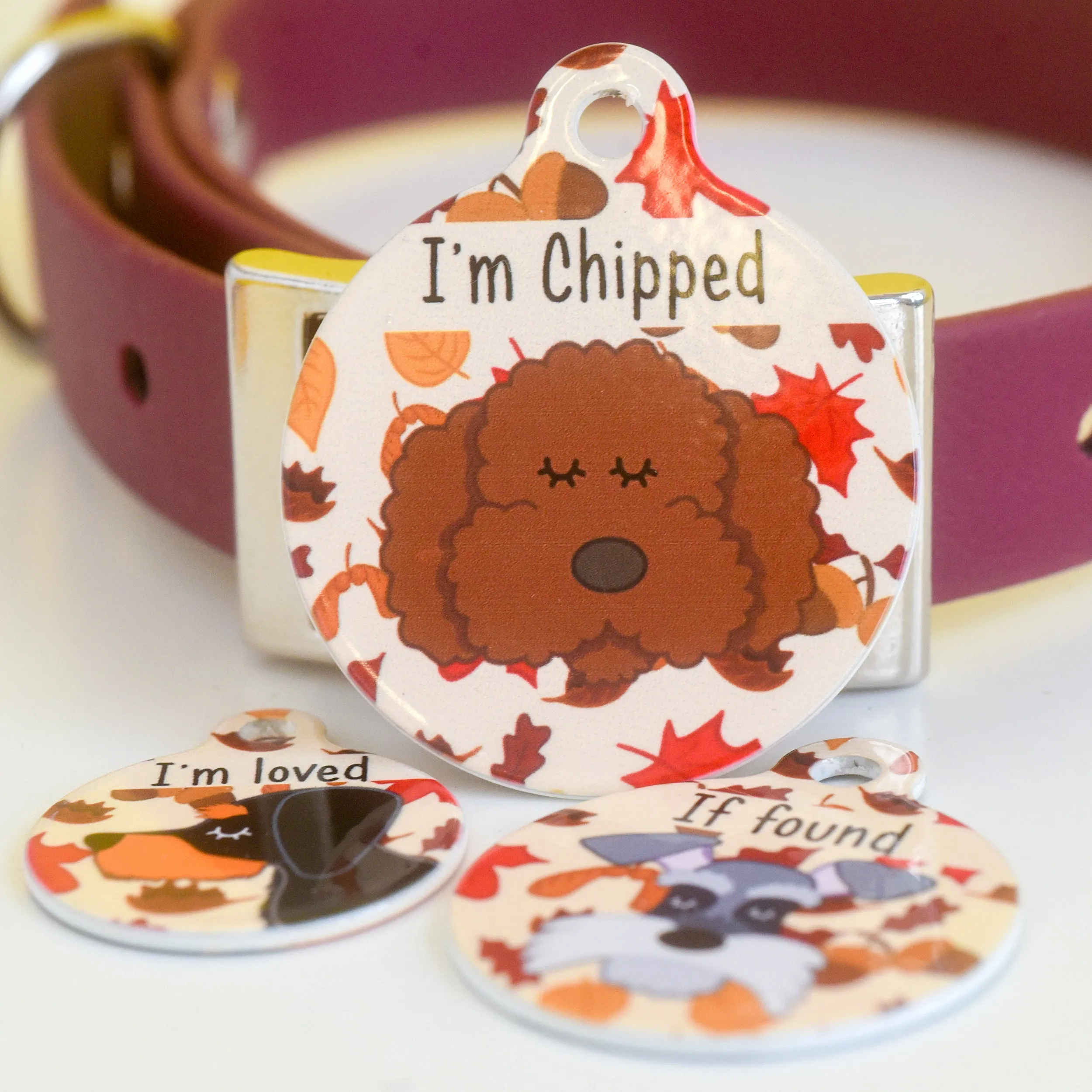 Dog Tag Personalised - Fall Foliage Cartoon Illustrations