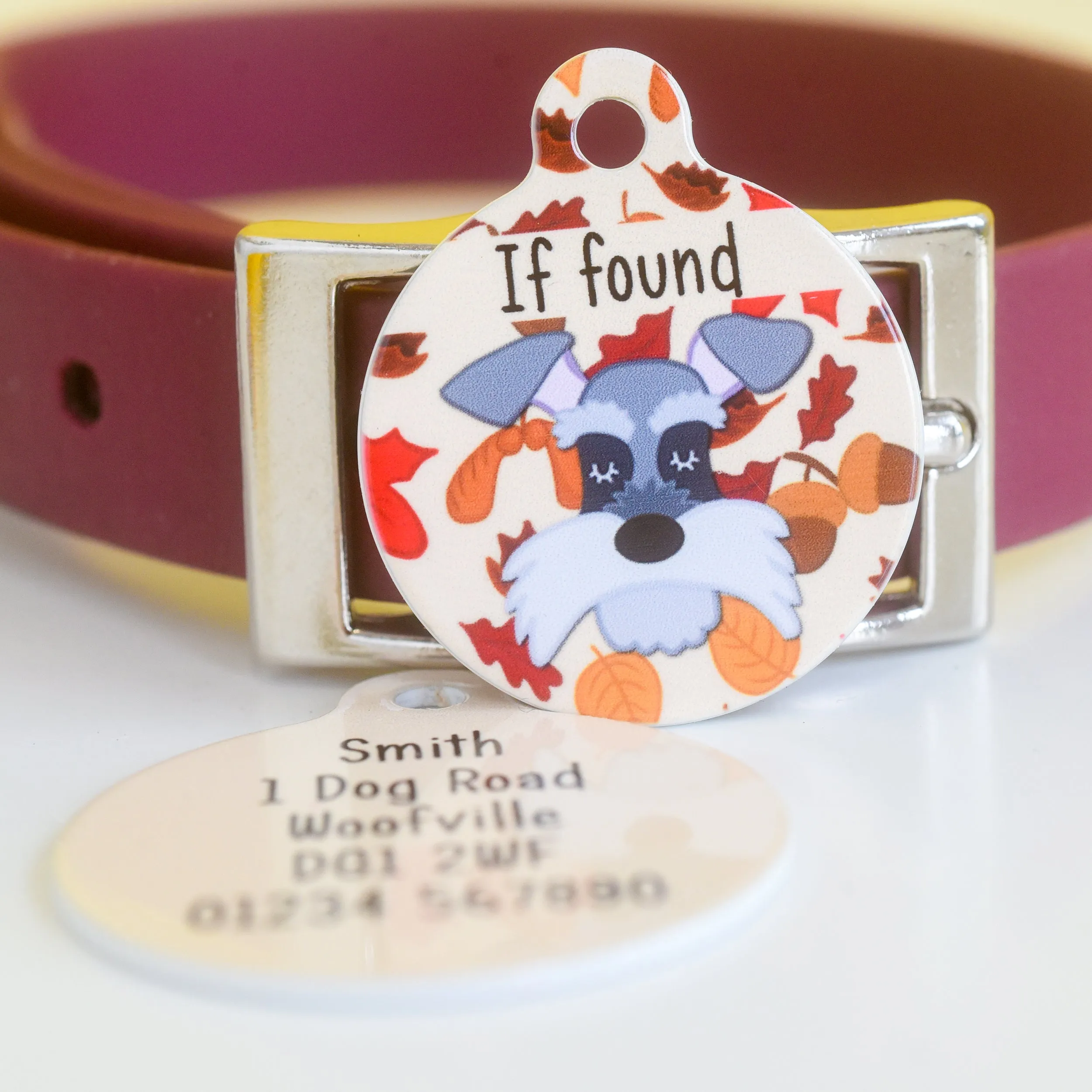 Dog Tag Personalised - Fall Foliage Cartoon Illustrations