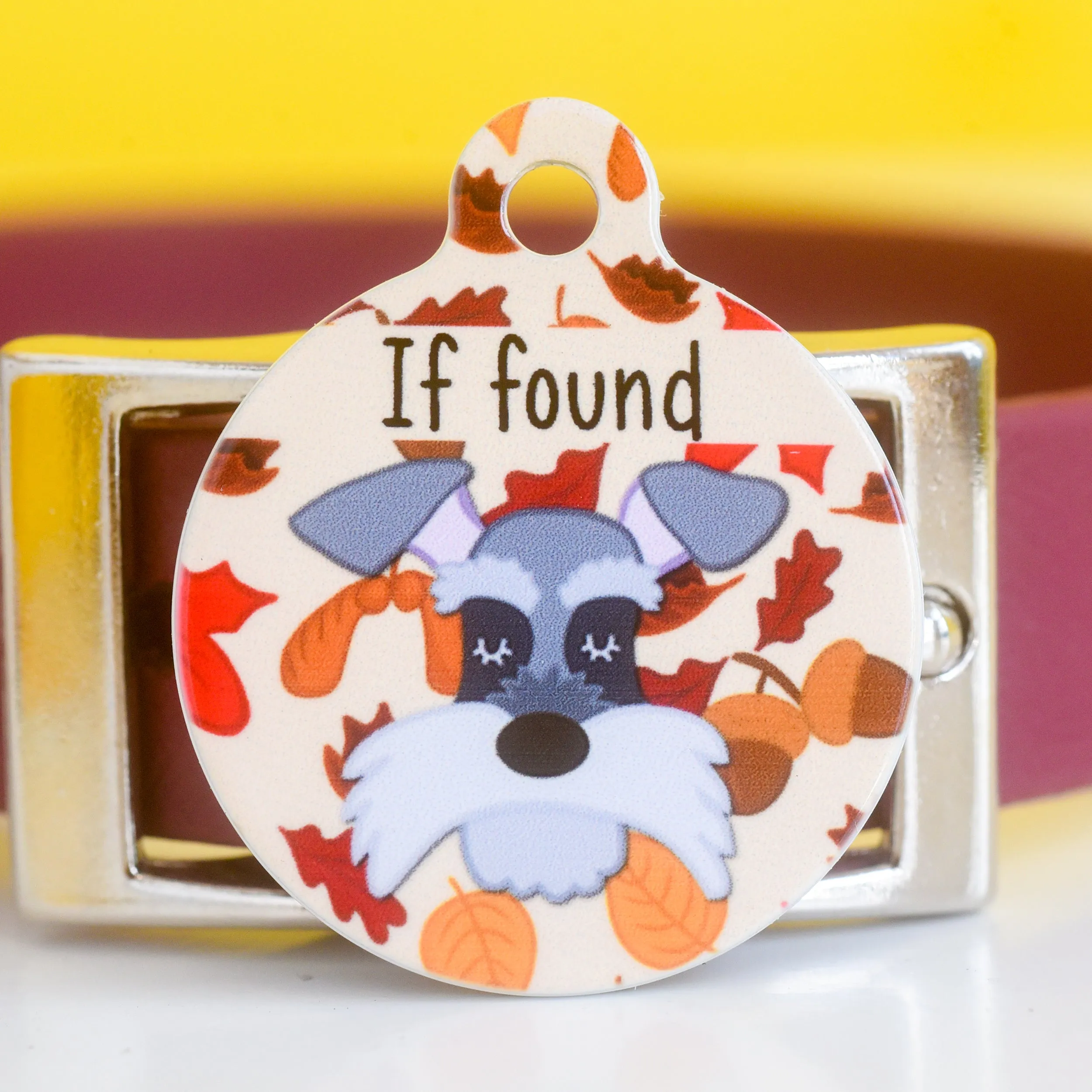Dog Tag Personalised - Fall Foliage Cartoon Illustrations