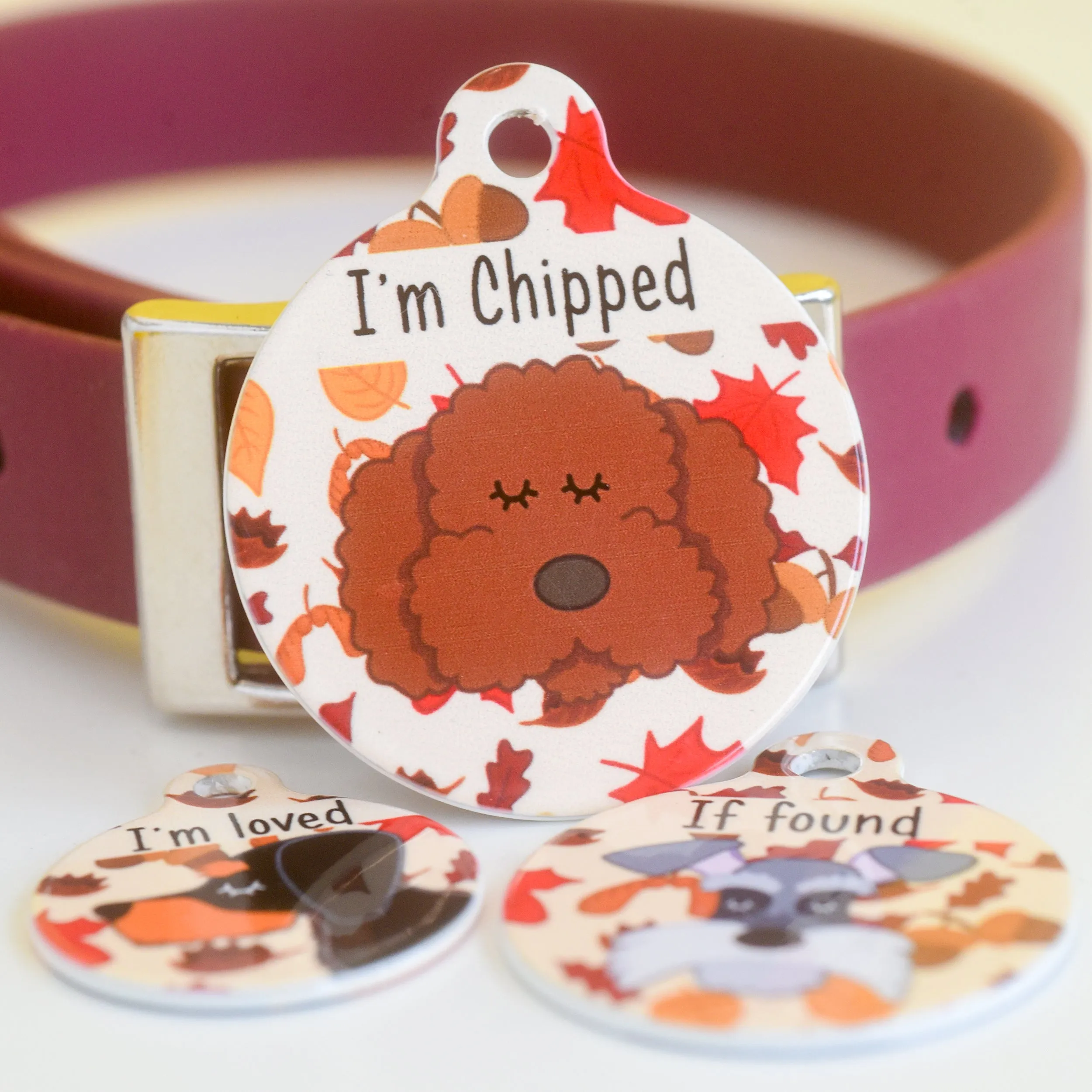 Dog Tag Personalised - Fall Foliage Cartoon Illustrations