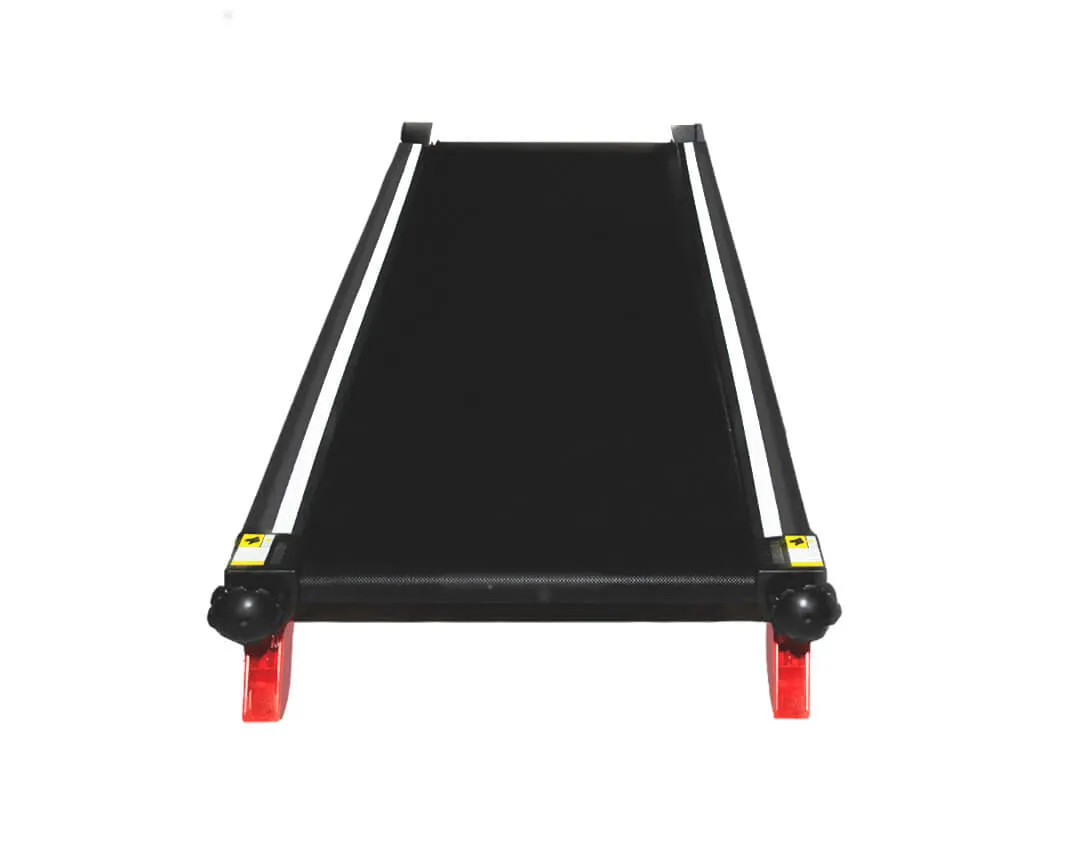dogPACER 4.0 Smart Electric Dog Treadmill