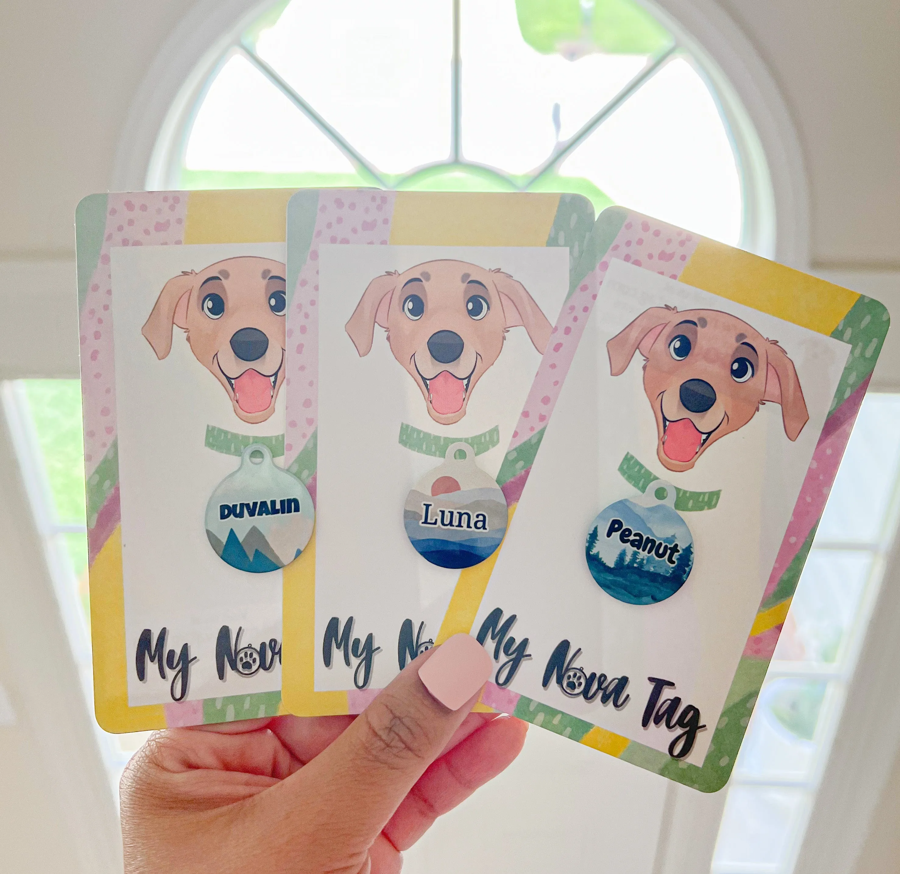 Face North Circle Pet Tag