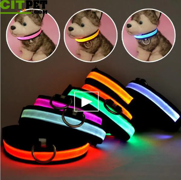 Flashing Dog Collar Led Luminous Small Dogs Collars