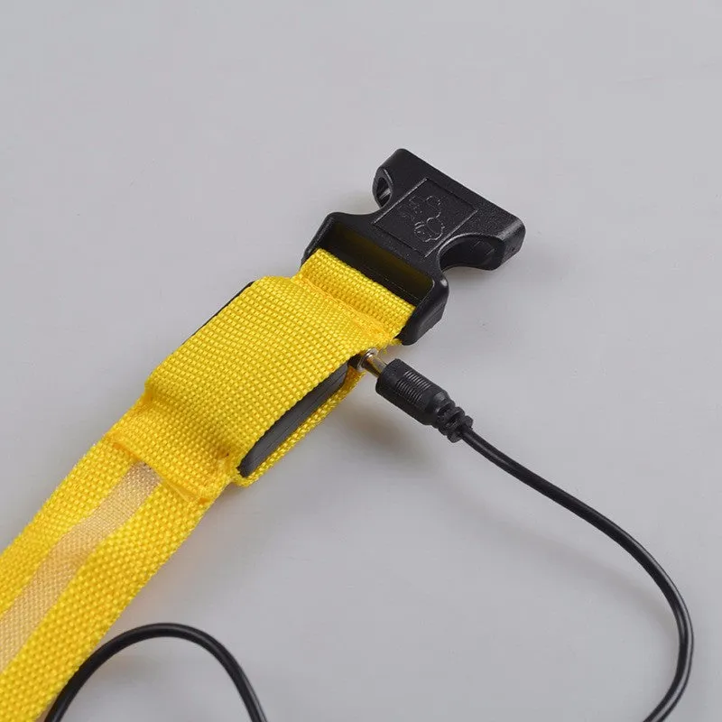 Flashing Dog Collar Led Luminous Small Dogs Collars