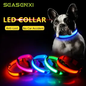 Glowing LED Dog Collar Anti-Lost