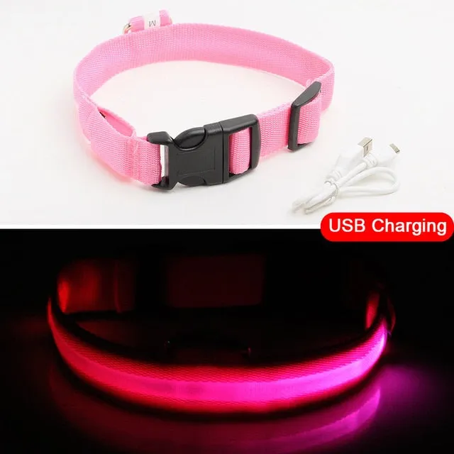 Glowing LED Dog Collar Anti-Lost