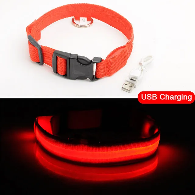 Glowing LED Dog Collar Anti-Lost