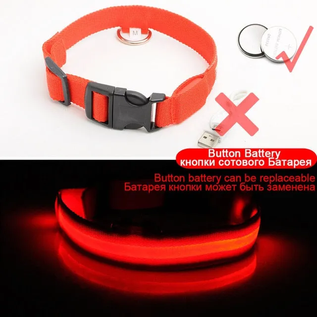 Glowing LED Dog Collar Anti-Lost