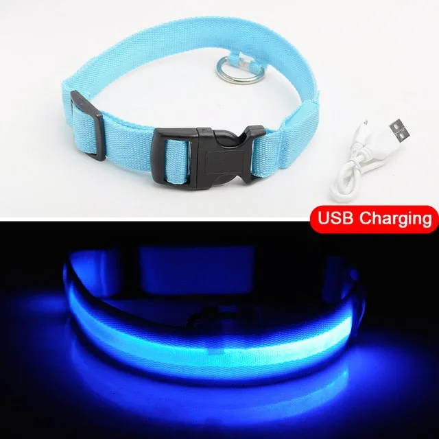 Glowing LED Dog Collar Anti-Lost