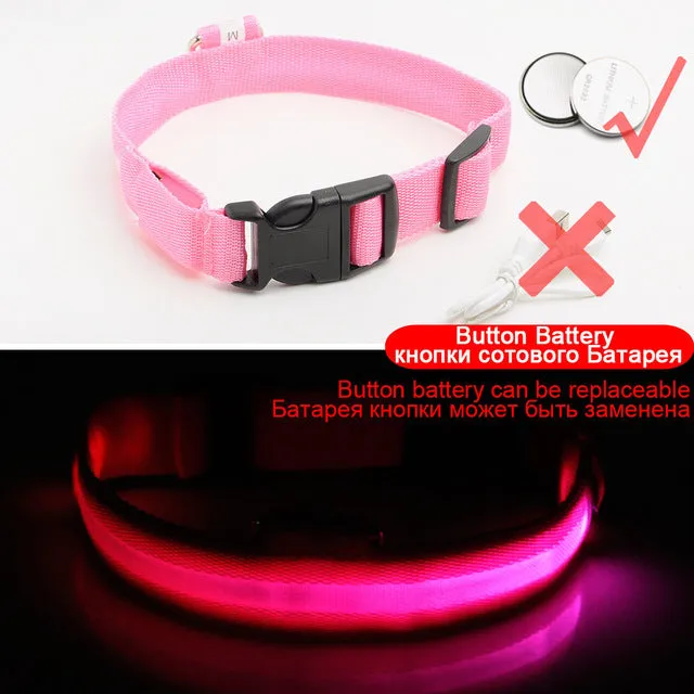 Glowing LED Dog Collar Anti-Lost