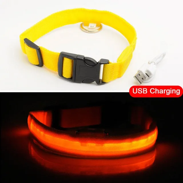 Glowing LED Dog Collar Anti-Lost