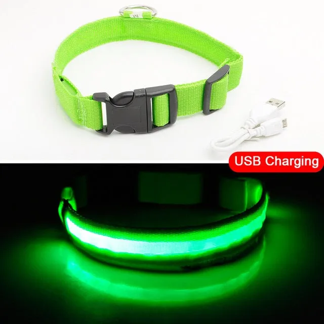 Glowing LED Dog Collar Anti-Lost