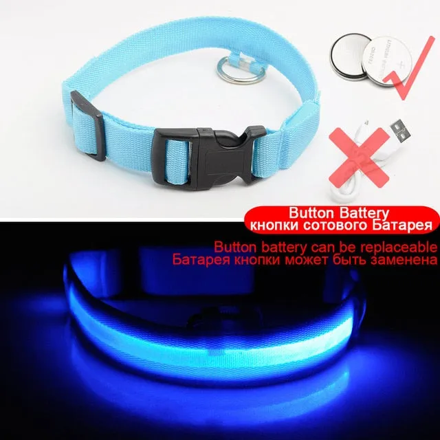 Glowing LED Dog Collar Anti-Lost