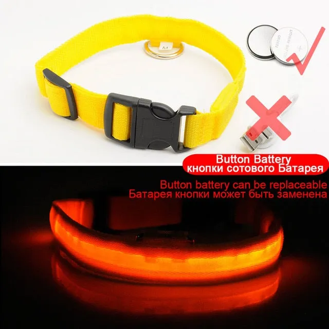 Glowing LED Dog Collar Anti-Lost