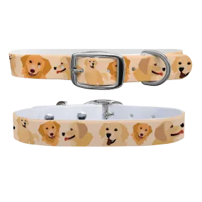 Golden Retriver Collar With Silver Buckle
