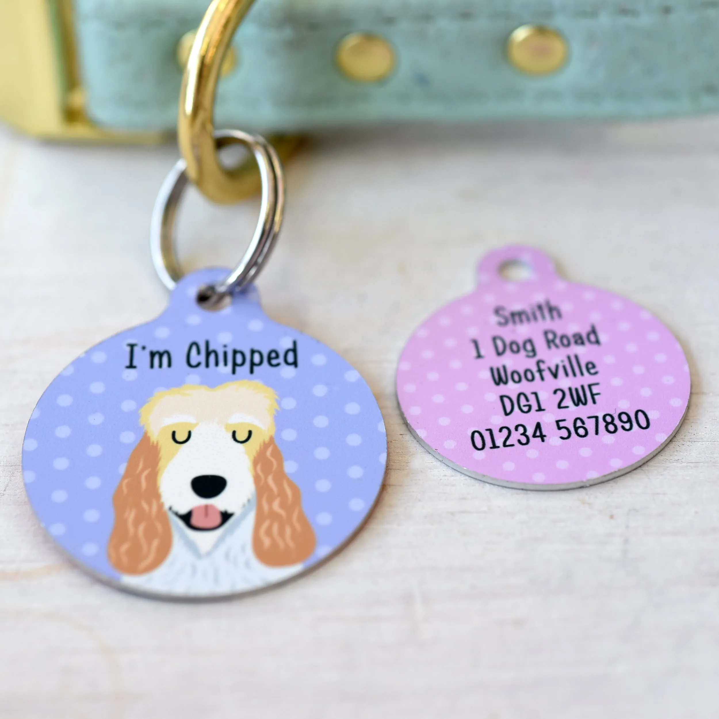 Grand Basset Griffon Vendeen Personalised Dog ID Tag