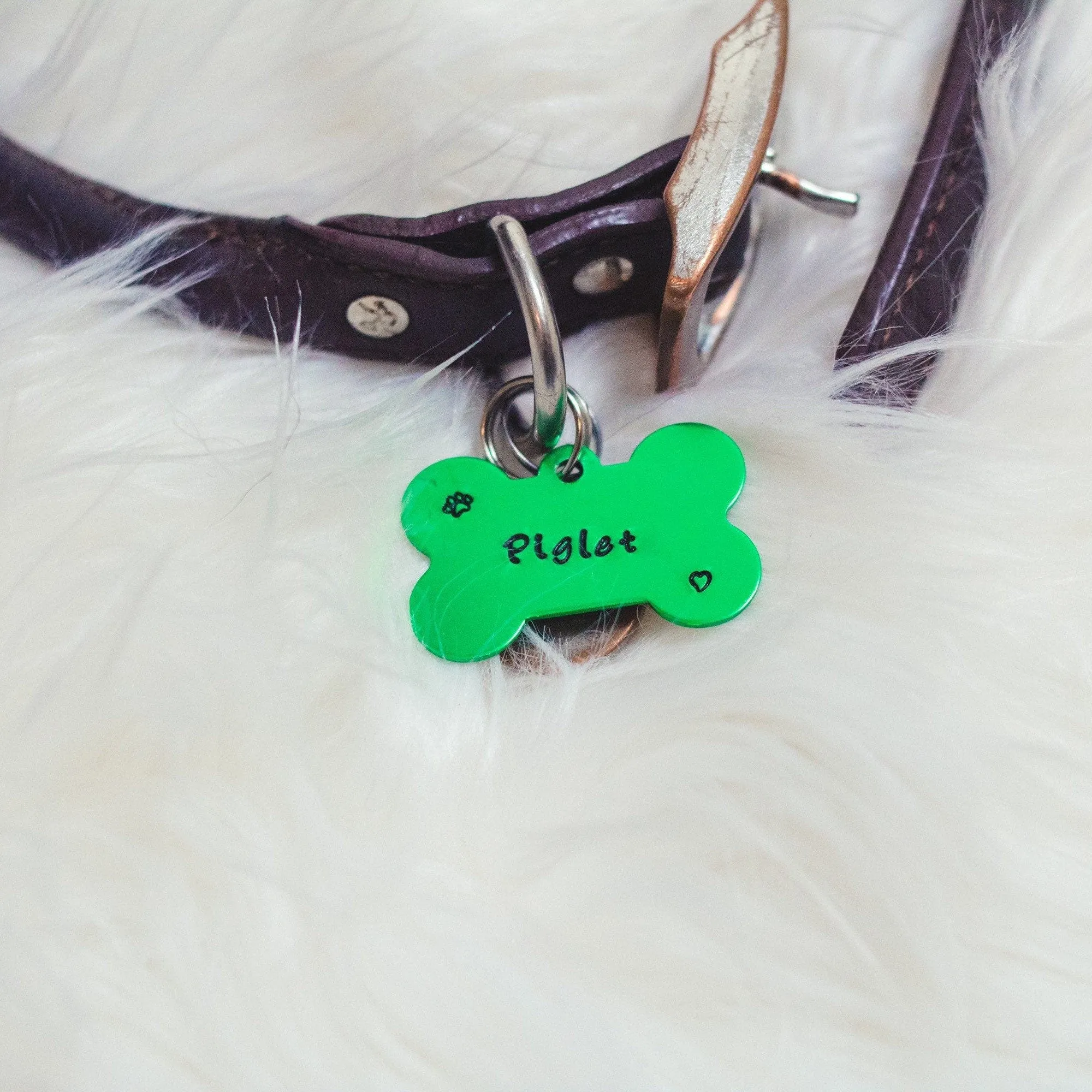 GREEN PET ID TAG
