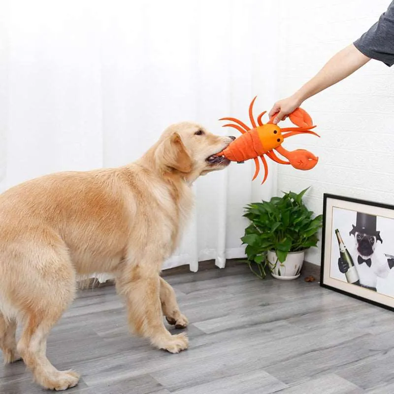 Kawaii Lobster Pet Toy