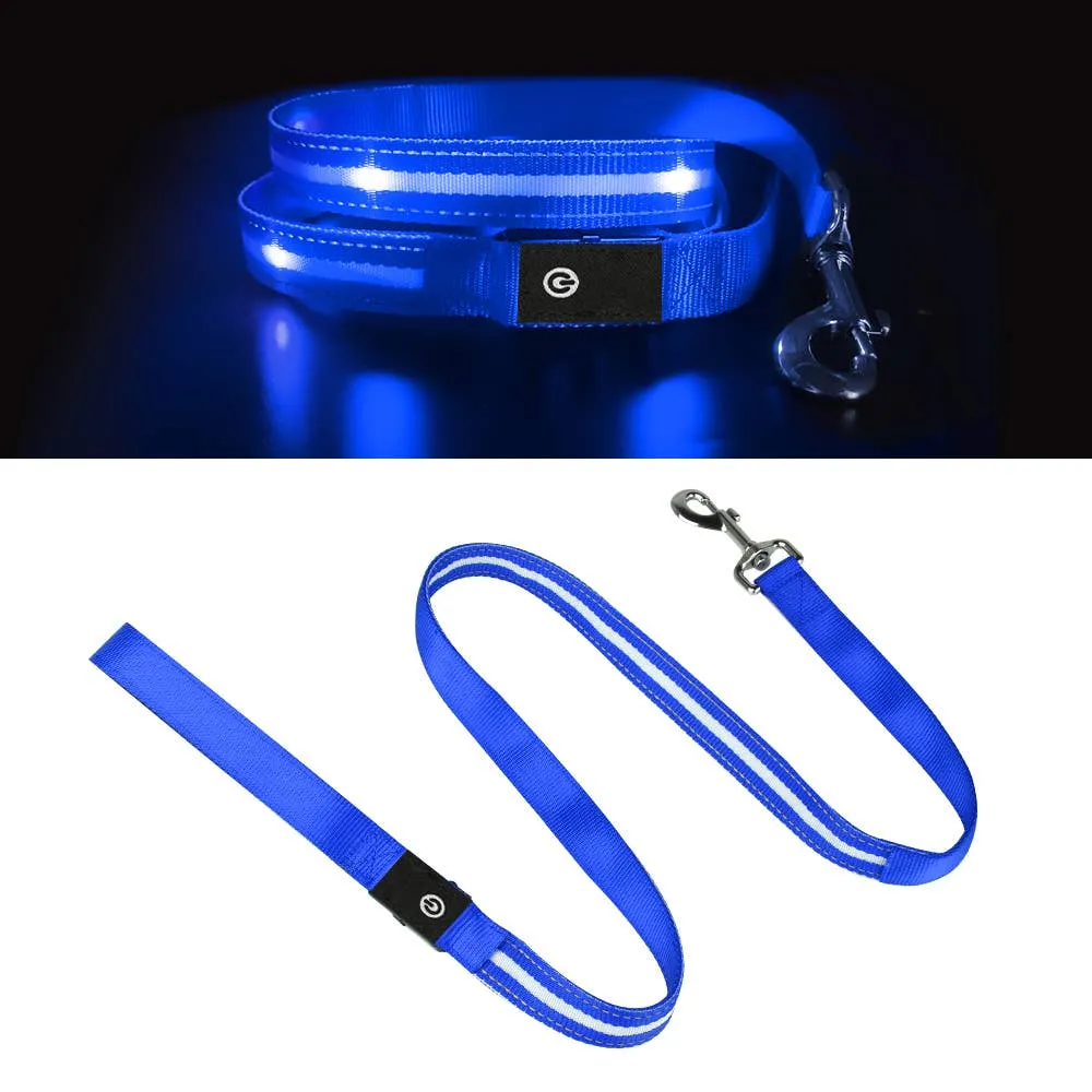 Ksproducers Dotted LED Flashing Dog Leash