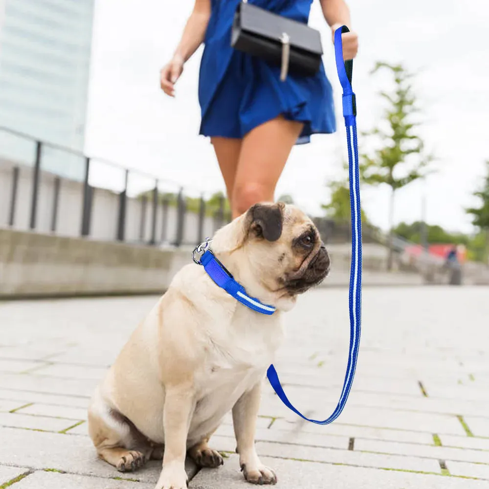 Ksproducers Dotted LED Flashing Dog Leash